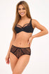 Semi-soft model 199509